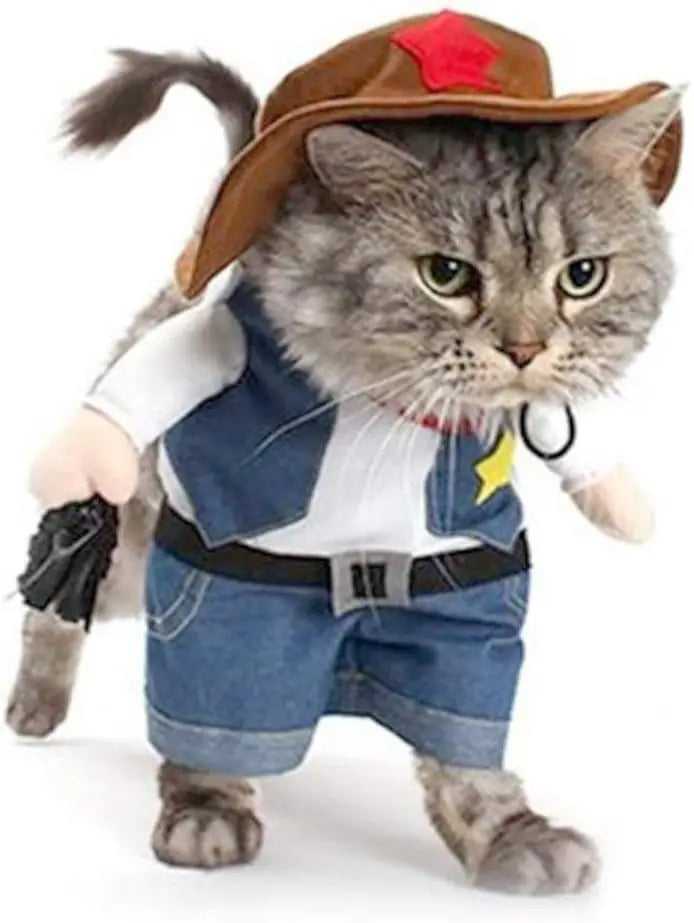 Cowboy Costume