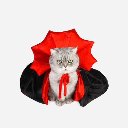 Dracula Cat Costume