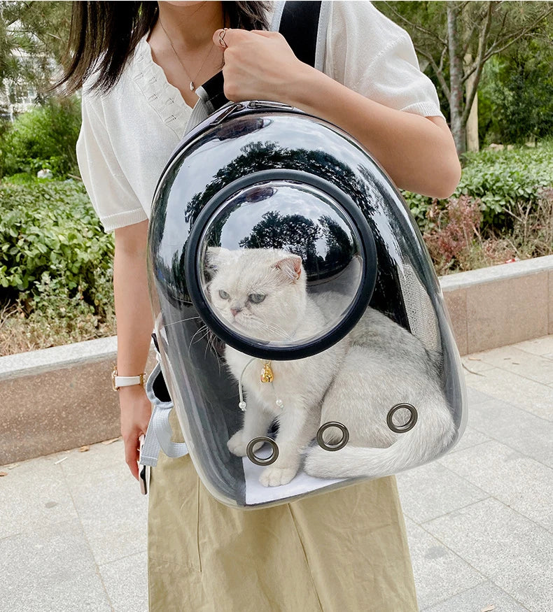 Breathable Transparent Cat Backpack