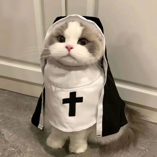 Nun Costume