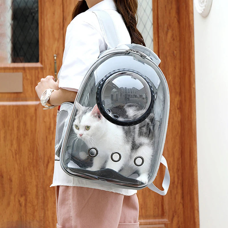 Breathable Transparent Cat Backpack