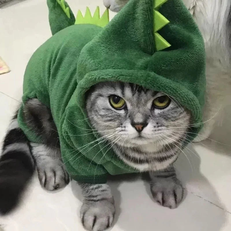 Dinosaur Hoodie Costume