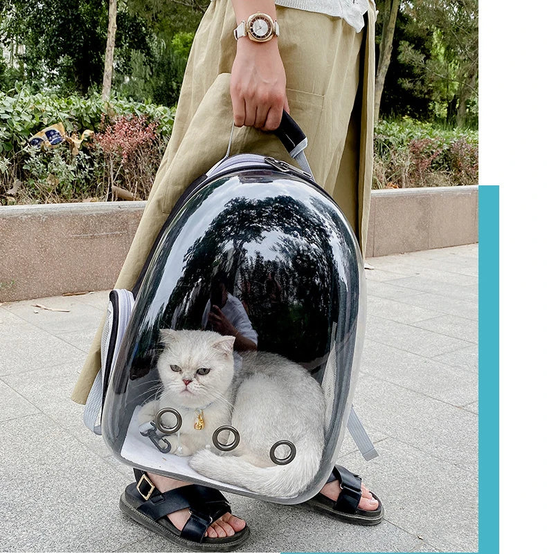 Breathable Transparent Cat Backpack