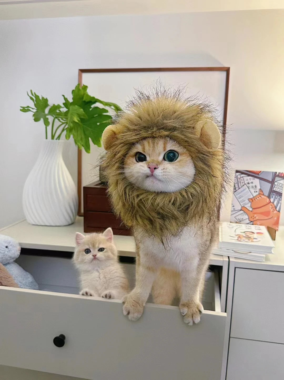 Lion's Mane Costume