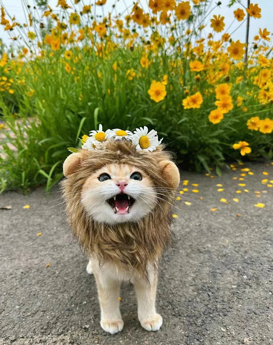 Lion's Mane Costume