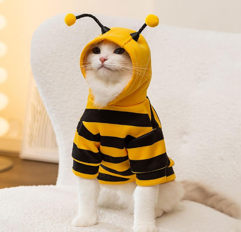 Bee Hoodie Costume