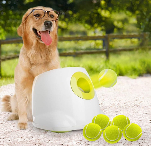 Automatic Tennis Ball Launcher For Dogs