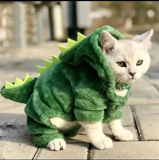 Dinosaur Hoodie Costume