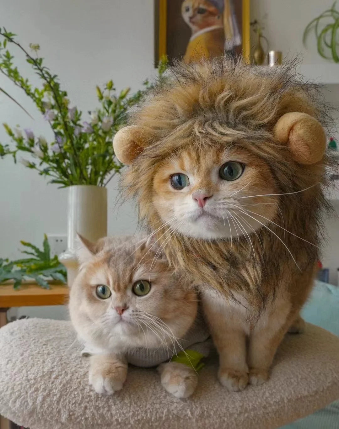 Lion's Mane Costume