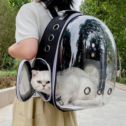 Breathable Transparent Cat Backpack