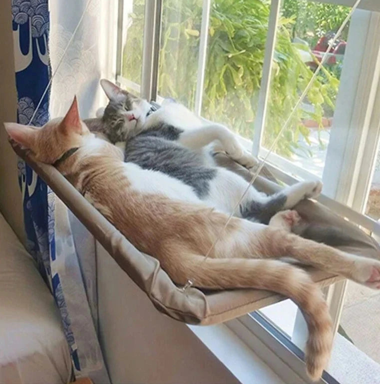 Cat Window Hammock