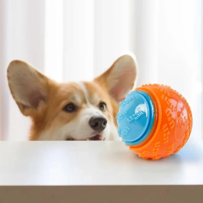 Bite-resistant Training Ball For Dogs